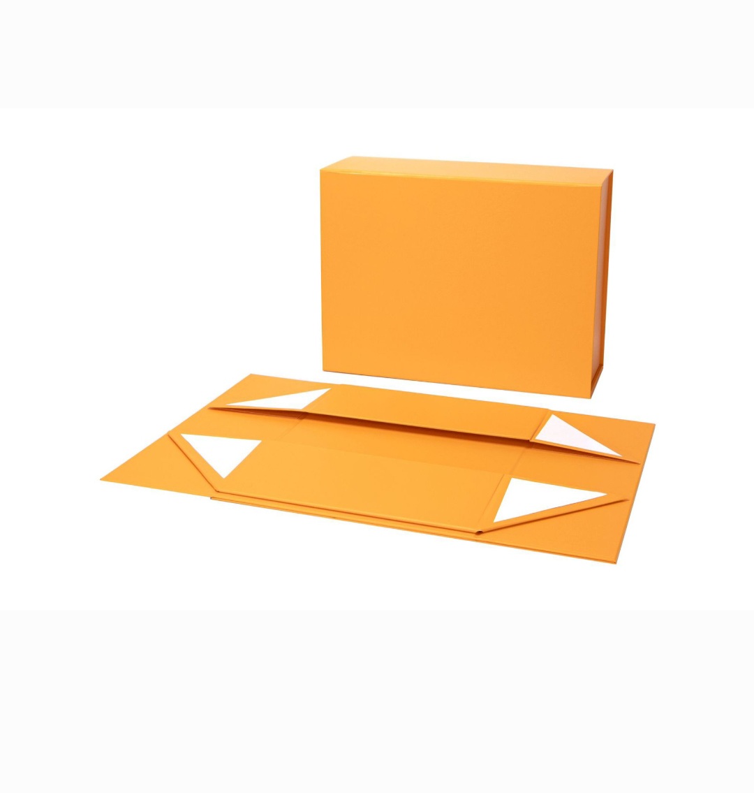 Screenshot_20250329_003809_Gallery